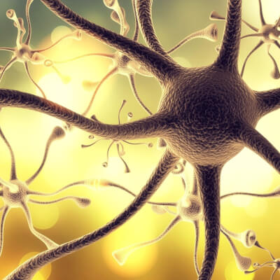 Polyvagaal Theorie: Neurale Veiligheid in de Praktijk Polyvagaal Theorie: Neurale Veiligheid in de Praktijk